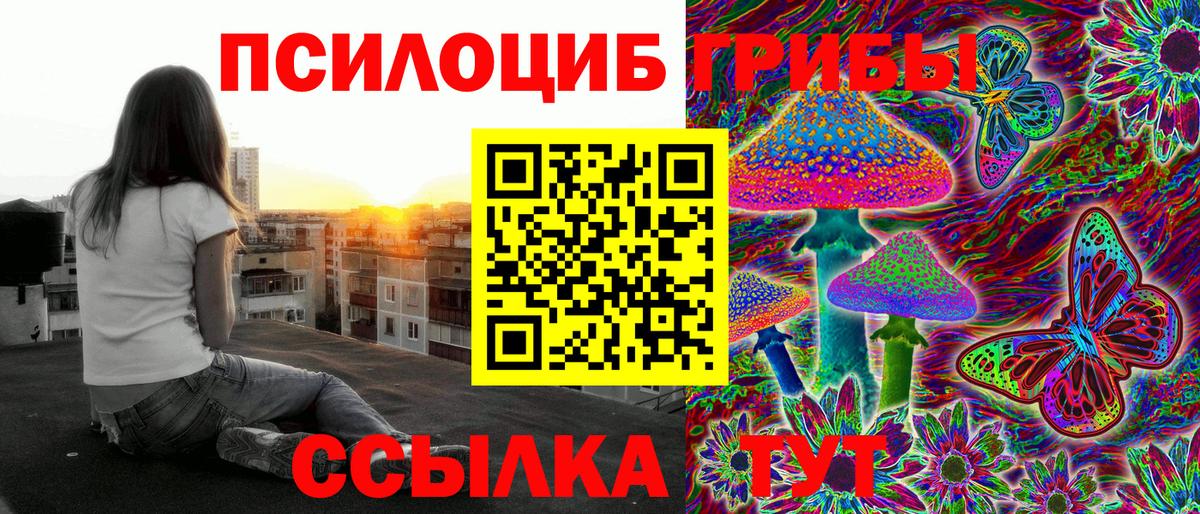 Псилоцибиновые грибы GOLDEN TEACHER Канск