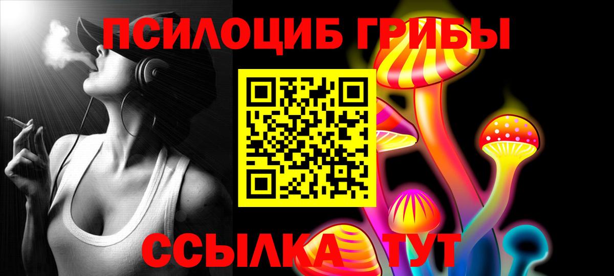 Канск  Галлюциногенные грибы прущие грибы  Вход с VPN 
